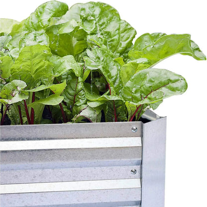 Galvanized Raised Garden Beds - Large Metal Planter 8x4x1ft