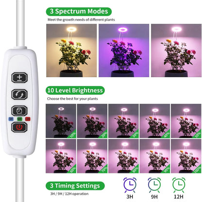 USB Angel Ring Grow Light - Full Spectrum Plant Phytolamp