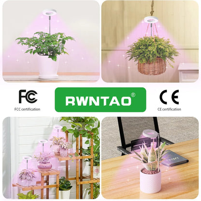 USB Angel Ring Grow Light - Full Spectrum Plant Phytolamp