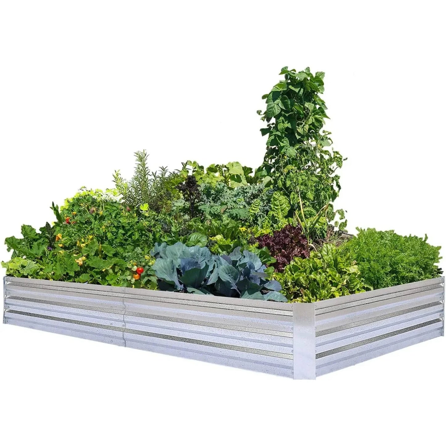 Galvanized Raised Garden Beds - Large Metal Planter 8x4x1ft